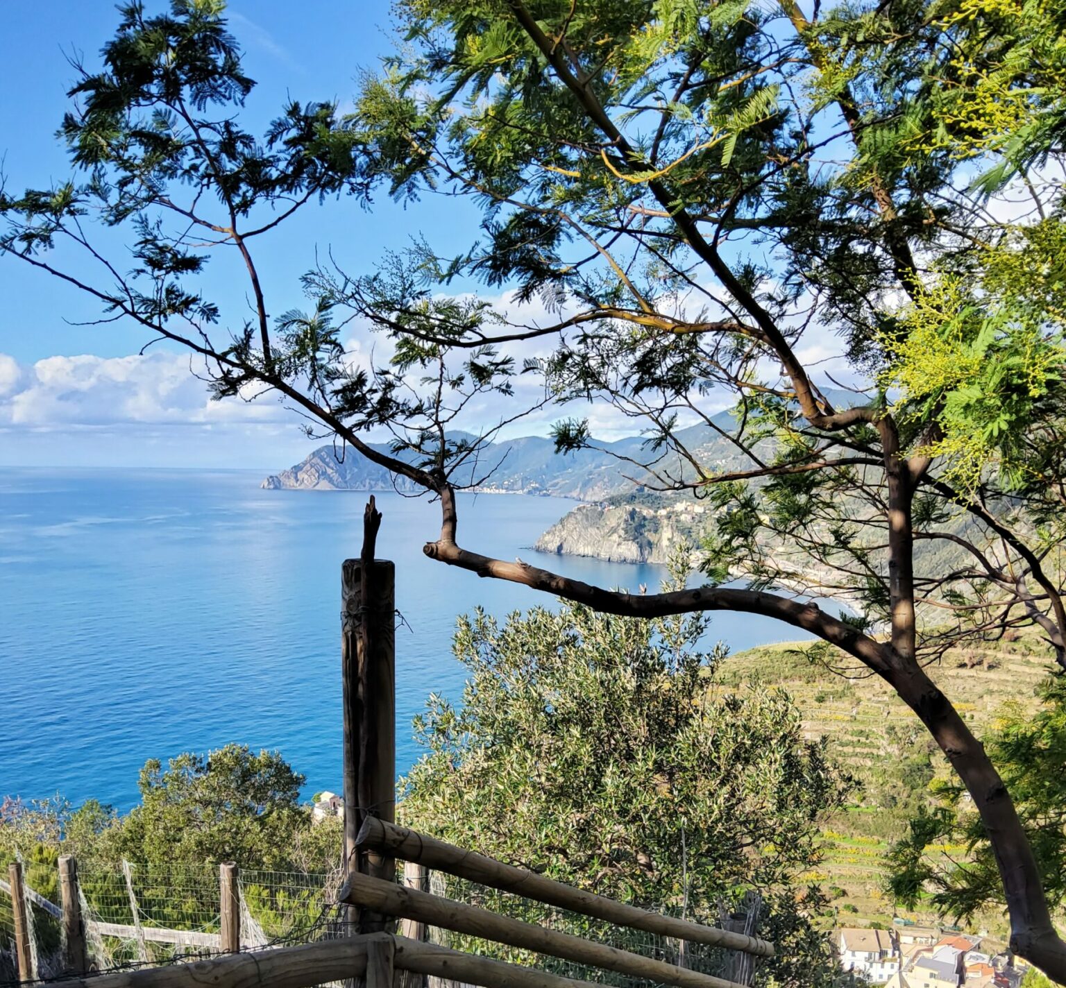5 top Cinque Terre Trails with Lucky & Camilla